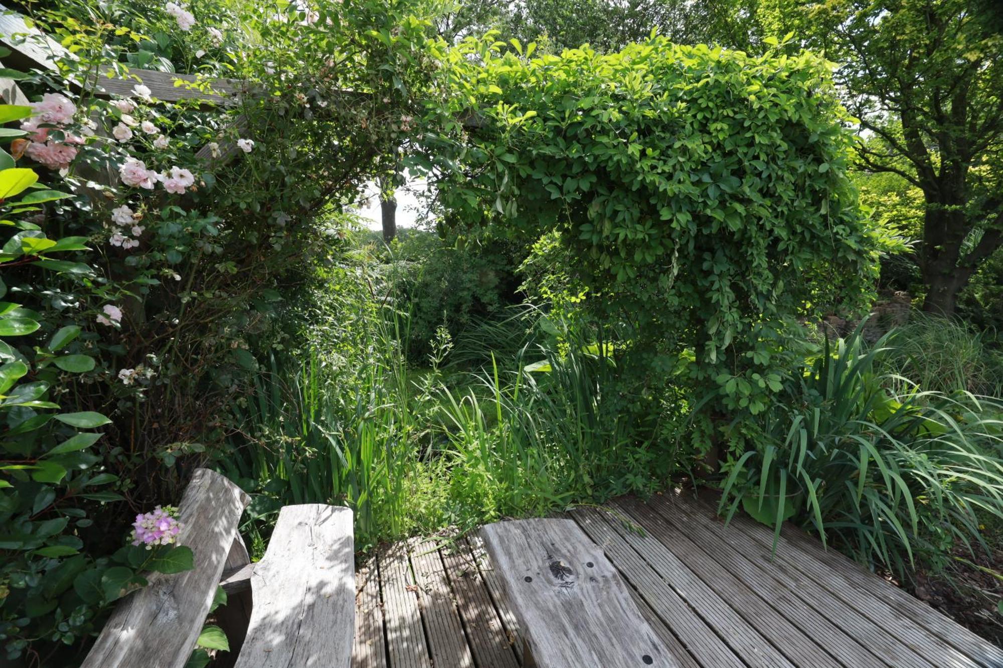 Wellnessappartement 'T Wechtertje Wijhe Экстерьер фото